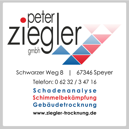 Heisinger Webdesign und Werbetechnik, Ihr Partner für Werbung und Internet mit Büro Frankenthal Otto-Dill-Straße 2d, Büro Eisenberg Sanvignes Straße 6 oder Büro Neustadt an der Weinstraße Siedler Straße 7
